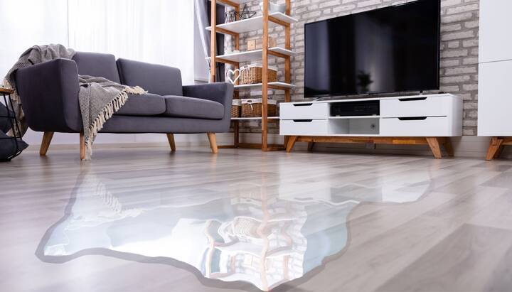 Trusted Home Water Damage Experts